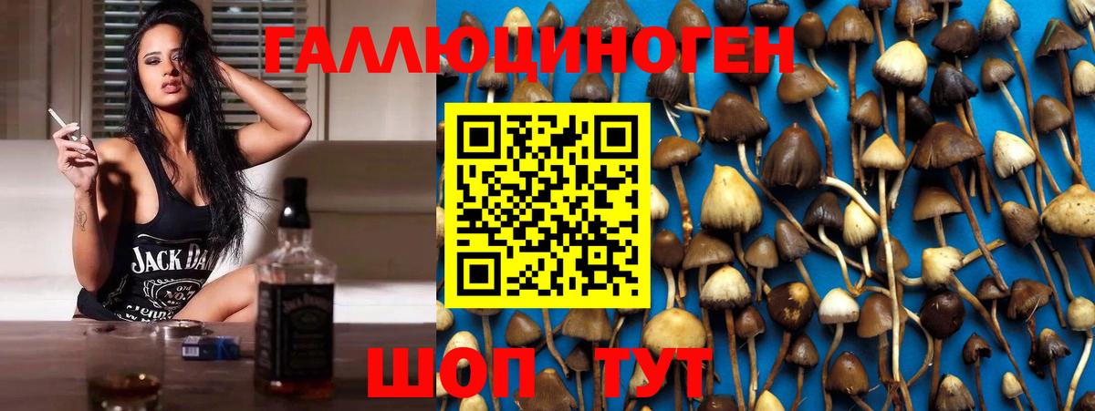 Псилоцибиновые грибы мицелий  Псилоцибиновые грибы GOLDEN TEACHER  Вход с VPN  Протвино 